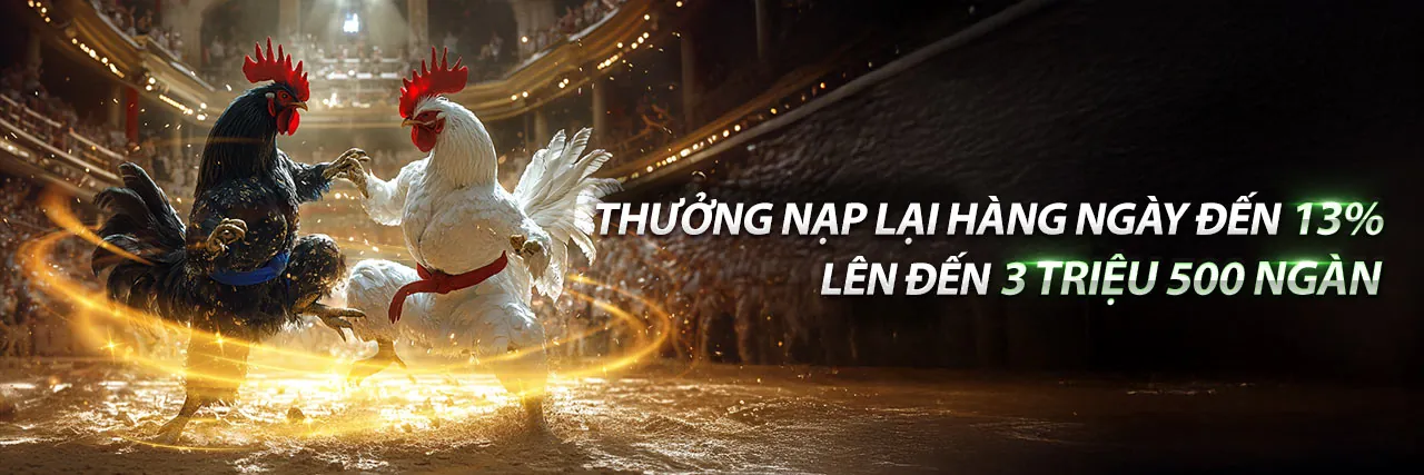 Đấu trường đá gà trực tuyến 78win88 Nổ Hũ
