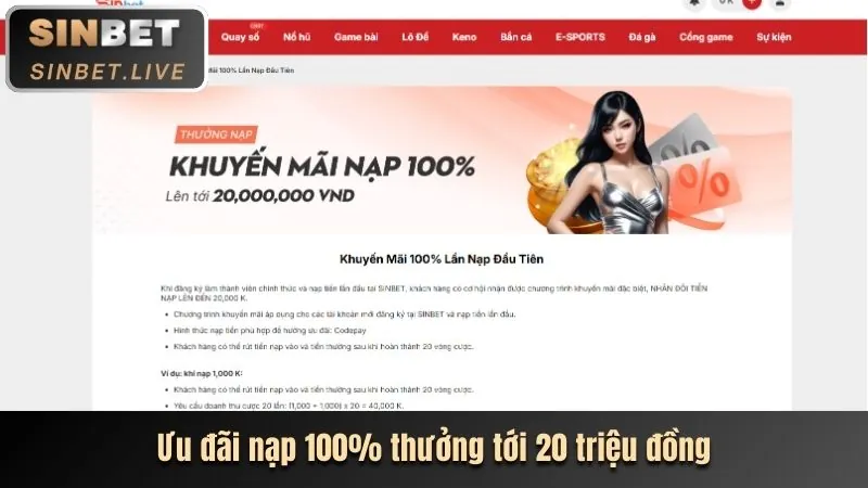 Chương trình VIP và Thưởng thành viên thân thiết